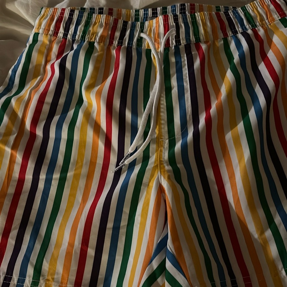 TRINITY Collective Rainbow  Stripe Unlined Swim Trunks - Men's Size S